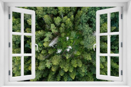 Fototapeta Naklejka Na Ścianę Okno 3D - Aerial of a late summer mixed boreal forest in Estonia, Northern Europe	