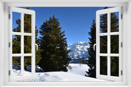 Fototapeta Naklejka Na Ścianę Okno 3D - Grands sapins en montagne l'hiver