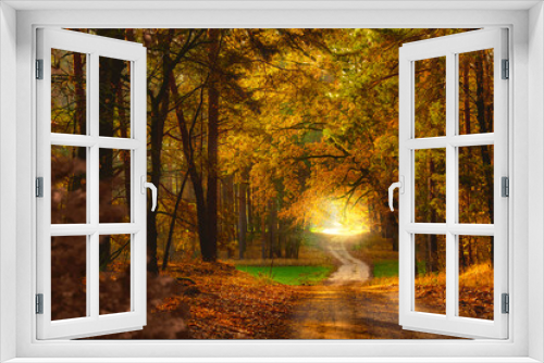 Fototapeta Naklejka Na Ścianę Okno 3D - So schön kann der Herbst sein
