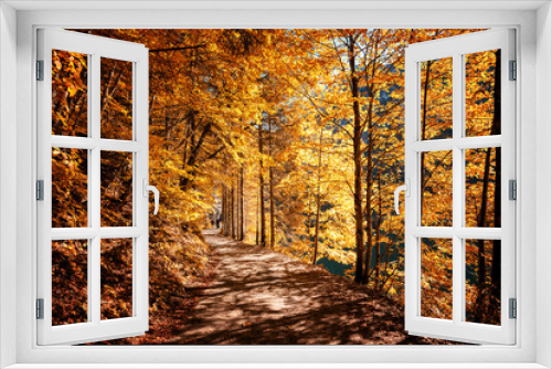 Fototapeta Naklejka Na Ścianę Okno 3D - Autumn forest scenery with road. Footpath in autumn forest nature. Wild area. Megical Natural Background. Creative image .