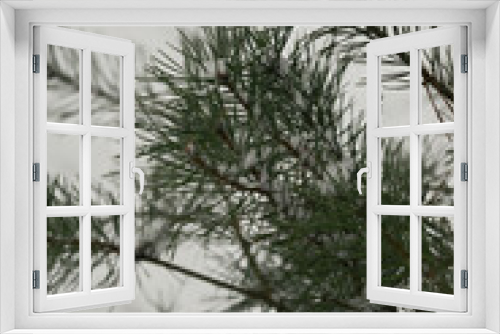 Fototapeta Naklejka Na Ścianę Okno 3D - Christmas Background with beautiful green pine tree brunch close up. Copy space.