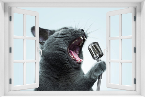 Fototapeta Naklejka Na Ścianę Okno 3D - Funny emotional cat artist singing and holding a vintage metal microphone at a party on a pastel blue background. Pet singer, creative idea. Rockstar