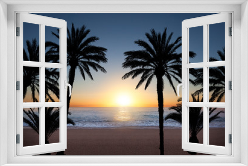 Fototapeta Naklejka Na Ścianę Okno 3D - Palm tree silhouettes