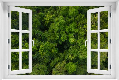 Fototapeta Naklejka Na Ścianę Okno 3D - Aerial view green tropical rain forest on mountain