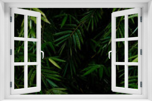 Fototapeta Naklejka Na Ścianę Okno 3D - Bamboo leaves