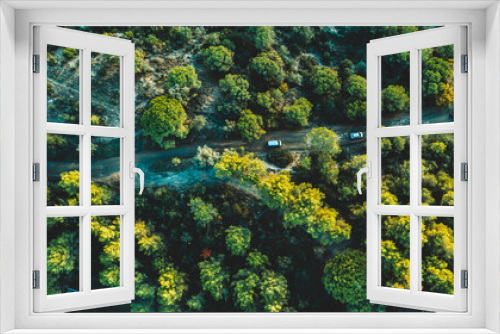 Fototapeta Naklejka Na Ścianę Okno 3D - From above drone view of vehicles driving along countryside road amidst lush green trees on summer day in woodland