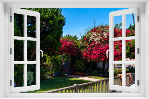 Fototapeta Naklejka Na Ścianę Okno 3D - Beautiful garden in broad daylight. San Francisco, California. USA.