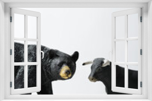 Fototapeta Naklejka Na Ścianę Okno 3D - Close up shot of a Bear and bull on a white background.
