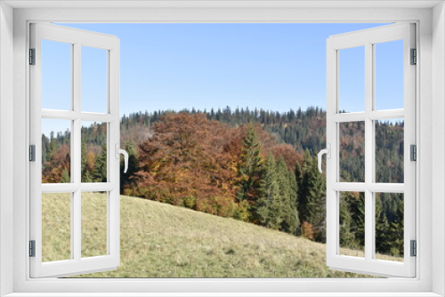 Fototapeta Naklejka Na Ścianę Okno 3D - Małe Pieniny, jesień, park, przyroda, szlaki, góry, 