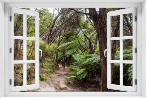 Fototapeta Naklejka Na Ścianę Okno 3D - Abel Tasman Coast Track leading through tropic jungle