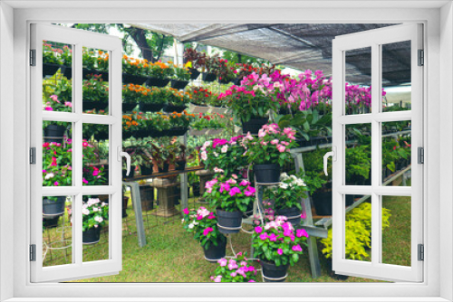 Fototapeta Naklejka Na Ścianę Okno 3D - A flower shop that sells various kinds of flowers, one of which is pink vinca flower plant or madagascar periwinkle