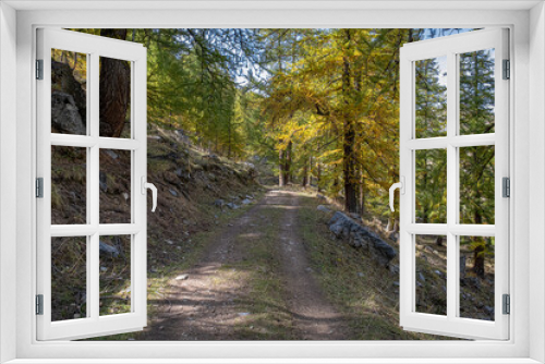 Fototapeta Naklejka Na Ścianę Okno 3D - Autumn in Partias Nature Park near Puy-Saint-Andre, not far from Briancon, France