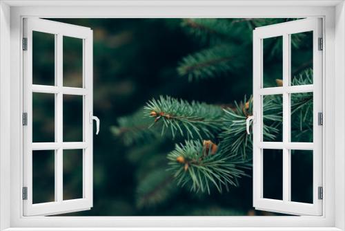 Fototapeta Naklejka Na Ścianę Okno 3D - Christmas tree branches.