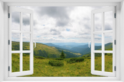 Fototapeta Naklejka Na Ścianę Okno 3D - panoramic view in to the chornohora ridge valley. stunning landscape of carpathian mountains on a bright forenoon in summer. forested hills and grassy meadows beneath a bright blue sky. travel ukraine