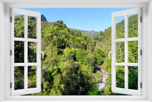 Fototapeta Naklejka Na Ścianę Okno 3D - Petrignani stream in Costa verde mountain. Corsica island