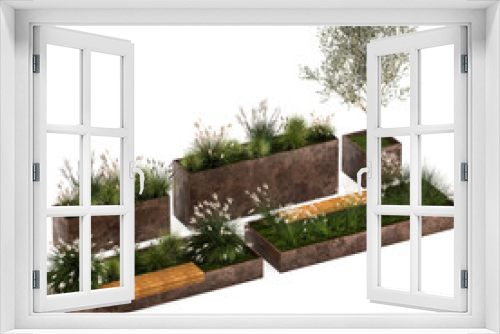 Fototapeta Naklejka Na Ścianę Okno 3D - Bushes For Landscaping And Urban Environments wiht Miscanthus and  Stipa, Feather Grass on a white background