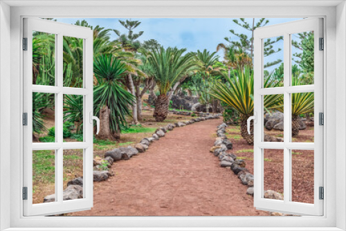 Fototapeta Naklejka Na Ścianę Okno 3D - Beautiful exotic landscape in Jardines de Playa Chica garden in Puerto de la Cruz in Tenerife, Spain. Path lined with volcanic stones among palm trees and other topical plants in a park in Canaries