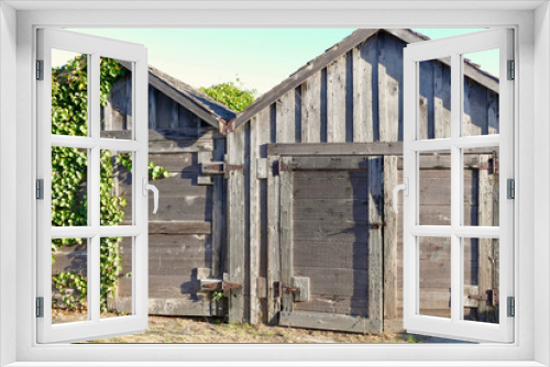 Fototapeta Naklejka Na Ścianę Okno 3D - long forgotten redwood shed overgrown with ivy
