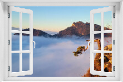 Fototapeta Naklejka Na Ścianę Okno 3D - Widok na reliktową sosnę i zamglone góry o poranku z Sokolicy w górach Pieniny,