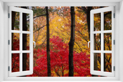 Fototapeta Naklejka Na Ścianę Okno 3D - 가을의 낙엽, 노랗고 빨간 단풍 나무 공원 풍경