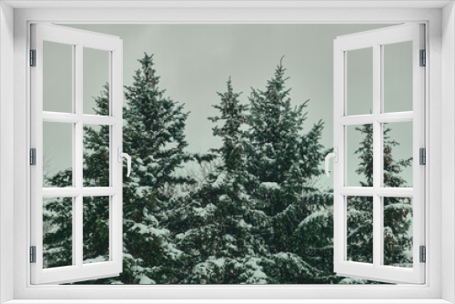 Fototapeta Naklejka Na Ścianę Okno 3D - frosty forest snow-cowered fir and pine trees winter road background Christmas Scene