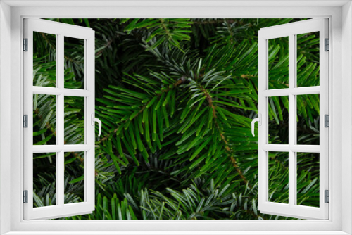 Fototapeta Naklejka Na Ścianę Okno 3D - Green background from fir branches. Texture of coniferous branches close up. Selective focus.