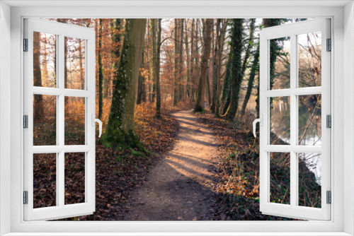Fototapeta Naklejka Na Ścianę Okno 3D - Herbstlicher Wald