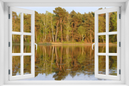 Fototapeta Naklejka Na Ścianę Okno 3D - lake in the forest