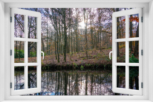 Fototapeta Naklejka Na Ścianę Okno 3D - Pond with reflection of trees in the Netherlands
