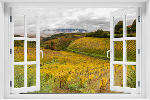 Fototapeta Naklejka Na Ścianę Okno 3D - View of grapevines in Douro Valley wineries in Portugal