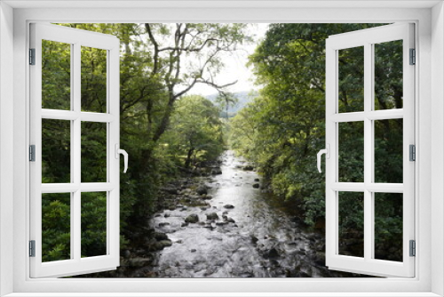 Fototapeta Naklejka Na Ścianę Okno 3D - River in Forest