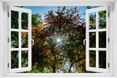 Fototapeta Naklejka Na Ścianę Okno 3D - Red and Green Tree