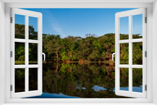 Fototapeta Naklejka Na Ścianę Okno 3D - Mirror reflections on the water of Rio Amazonas in Brazil at sunset during a canoe excursion in the middle of the rain forest