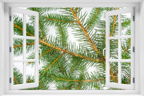 Fototapeta Naklejka Na Ścianę Okno 3D - branches of a pine