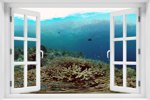 Fototapeta Naklejka Na Ścianę Okno 3D - Underwater world with coral reef and tropical fishes. Travel vacation concept 360 panorama VR