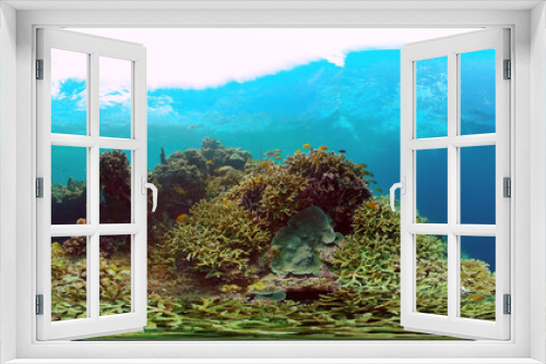 Fototapeta Naklejka Na Ścianę Okno 3D - Tropical coral reef seascape with fishes, hard and soft corals. 360 panorama VR