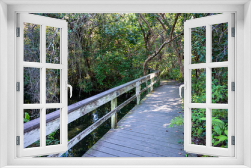 Fototapeta Naklejka Na Ścianę Okno 3D - Gumbo Limbo Trail boardwalk in Everglades National Park on calm sunny morning over sawgrass and water lilies.