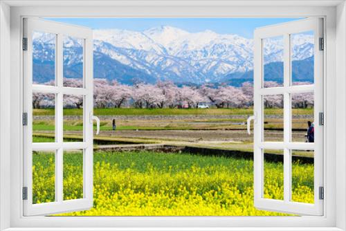 Fototapeta Naklejka Na Ścianę Okno 3D - 春の四重奏として知られる舟川べり桜並木。朝日、富山、日本。4月中旬。