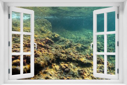 Fototapeta Naklejka Na Ścianę Okno 3D - Fondale marino baia di Calamosche