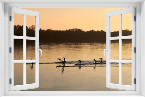 Fototapeta Naklejka Na Ścianę Okno 3D - River landscape with silhouettes of people rowing on stand up paddle boards (SUP) at calm surface of evening Danube river