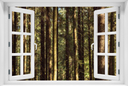 Fototapeta Naklejka Na Ścianę Okno 3D - Thicket, evergreen forest. Tall perennial coniferous trees with green needles. High fir trunks with branches.