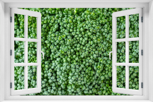 Fototapeta Naklejka Na Ścianę Okno 3D - Nutritious, healthy, fresh raw broccoli crown in closeup as a macro background
