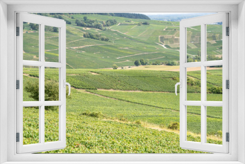 Fototapeta Naklejka Na Ścianę Okno 3D - Champagne vineyards, France