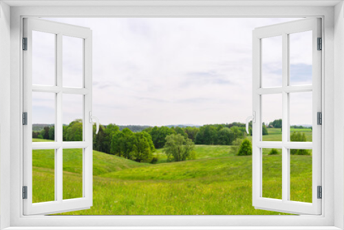 Fototapeta Naklejka Na Ścianę Okno 3D - panorama landscape with green grass, trees and blue sky in spring summer