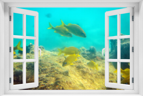 Fototapeta Naklejka Na Ścianę Okno 3D - St. Thomas, U.S. Virgin Islands