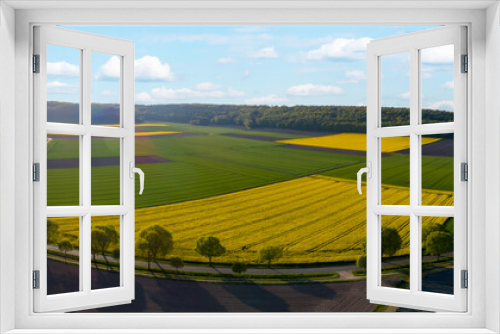 Fototapeta Naklejka Na Ścianę Okno 3D - Luftbild - Blühende Rapsfelder wechseln sich mit grünen Getreidefelder ab.