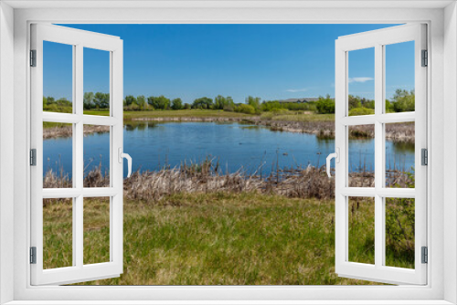 Fototapeta Naklejka Na Ścianę Okno 3D - Summer Time at Lakewood Park in Saskatoon, Saskatchewan, Canada