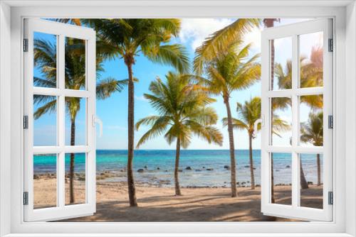Fototapeta Naklejka Na Ścianę Okno 3D - Beautiful Caribbean beach with coconut palm trees on a sunny day.