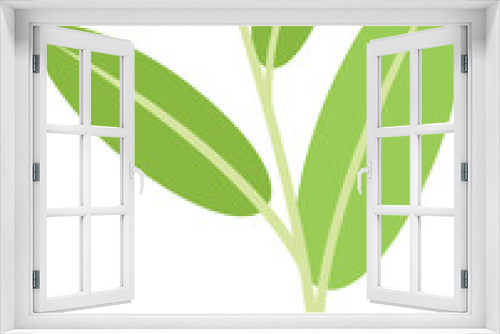Fototapeta Naklejka Na Ścianę Okno 3D - Sage cedar icon flat vector. Mint tea. Salvia aromatic isolated