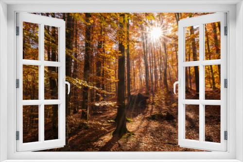 Fototapeta Naklejka Na Ścianę Okno 3D - Autumn beech forest with sun rays among yellow leaves. Golden bright mystical mysterious landscape with fabulous trees. A journey through the forest. Beauty of nature. Natural background for design
